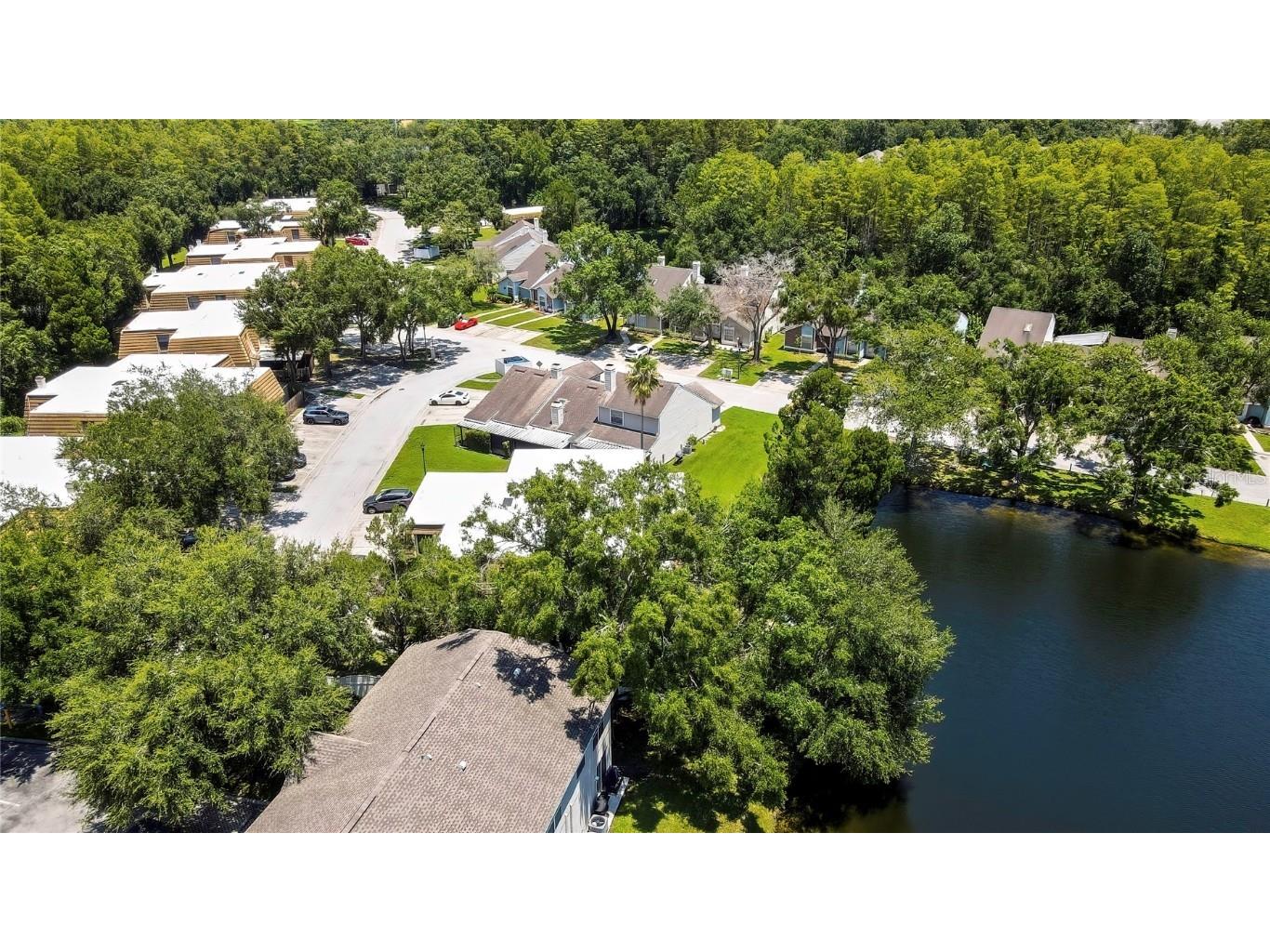 12714 Tall Pine Drive Tampa FL 33625 TB8412500 image36