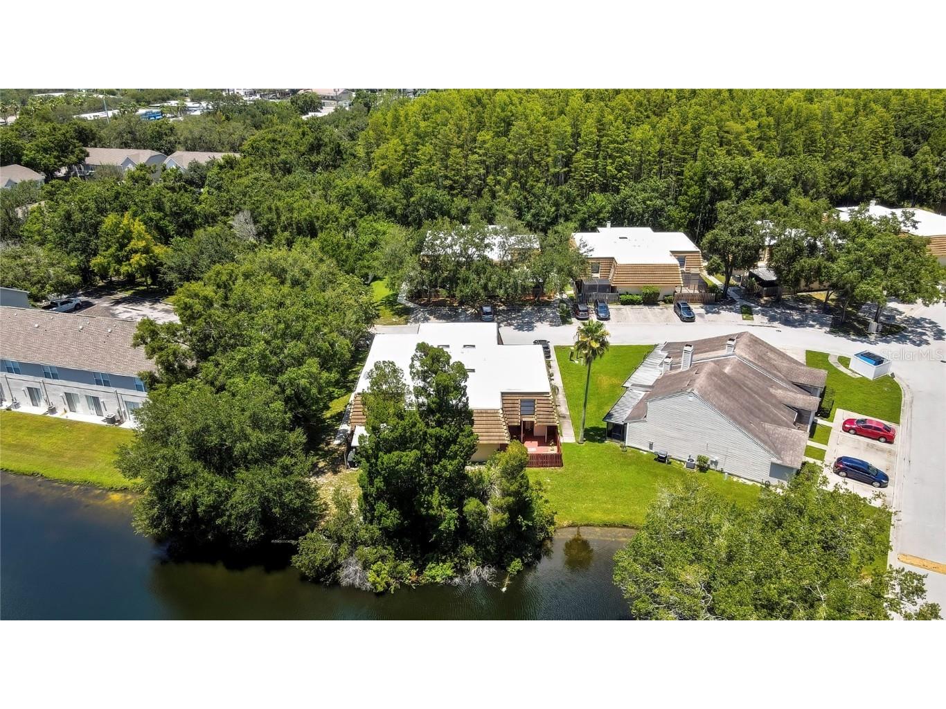 12714 Tall Pine Drive Tampa FL 33625 TB8412500 image38