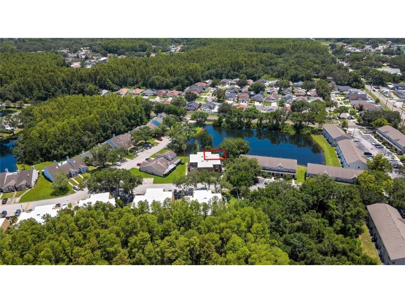 12714 Tall Pine Drive Tampa FL 33625 TB8412500 image42