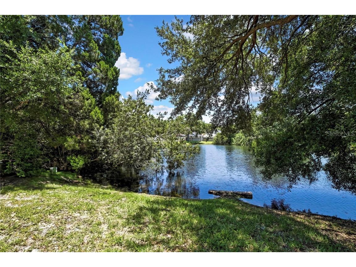 12714 Tall Pine Drive Tampa FL 33625 TB8412500 image5