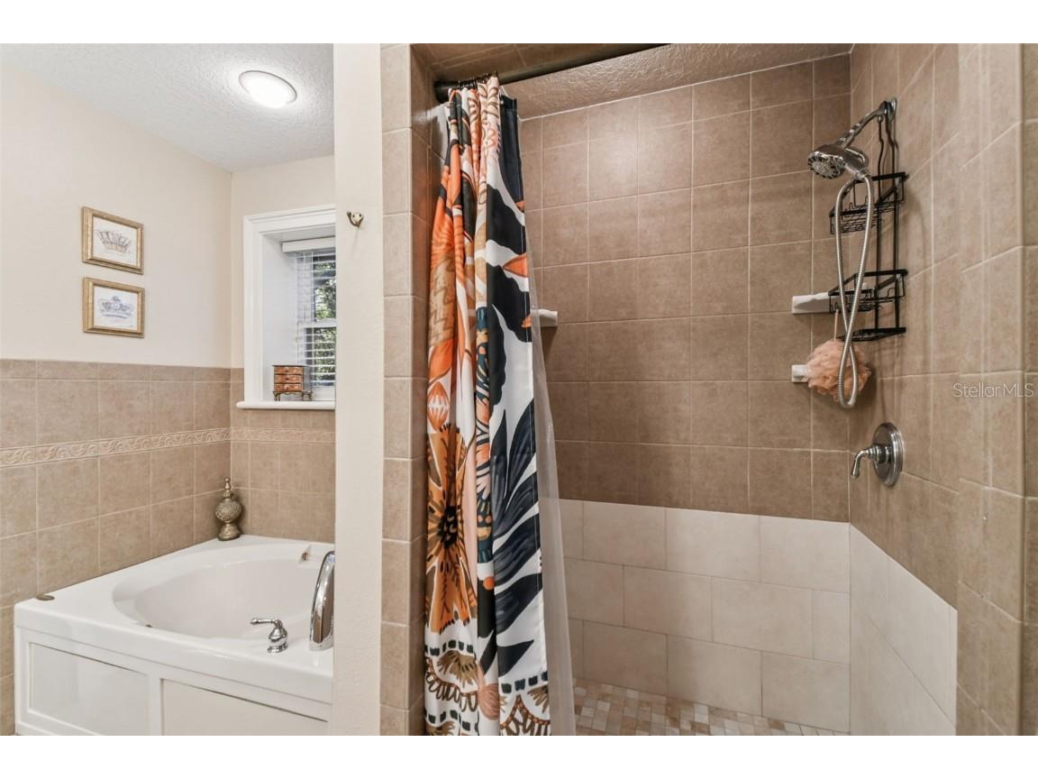 12715 Linda Drive Tampa FL 33612 - CURIOSITY CREEK TB8458966 image20