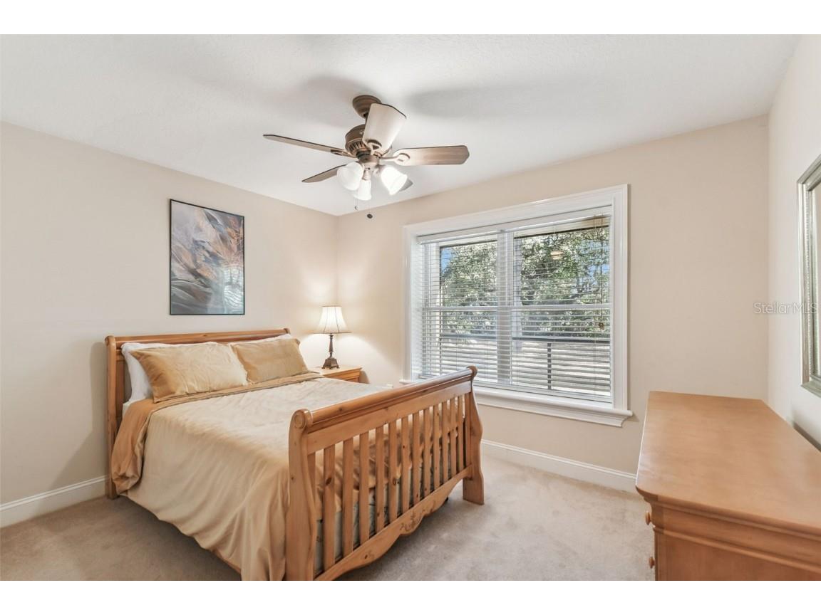 12715 Linda Drive Tampa FL 33612 - CURIOSITY CREEK TB8458966 image26