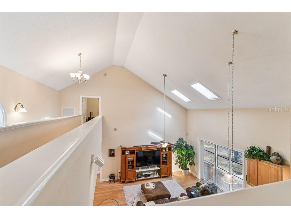 12715 Linda Drive Tampa FL 33612 - CURIOSITY CREEK TB8458966 image30