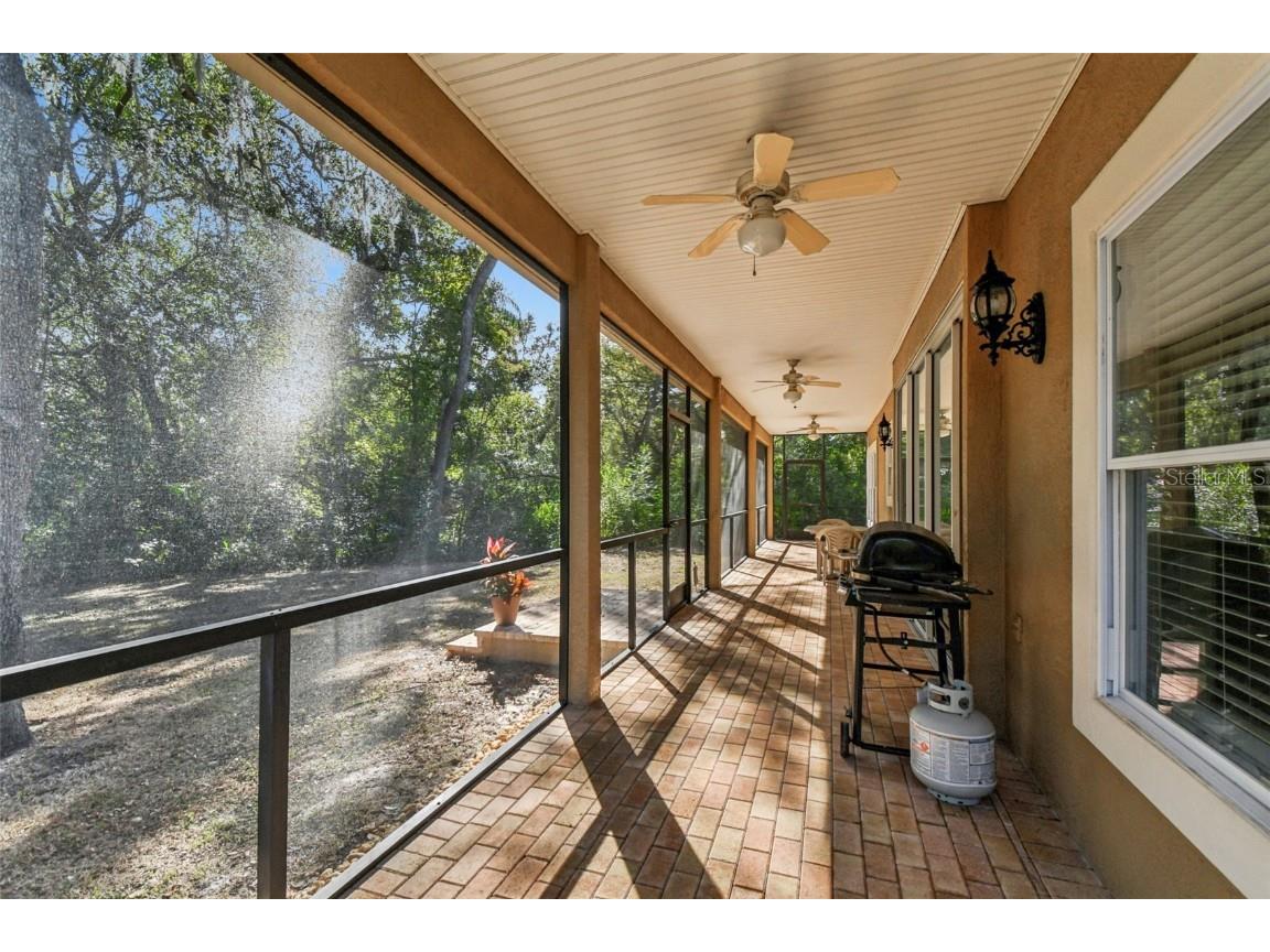 12715 Linda Drive Tampa FL 33612 - CURIOSITY CREEK TB8458966 image39