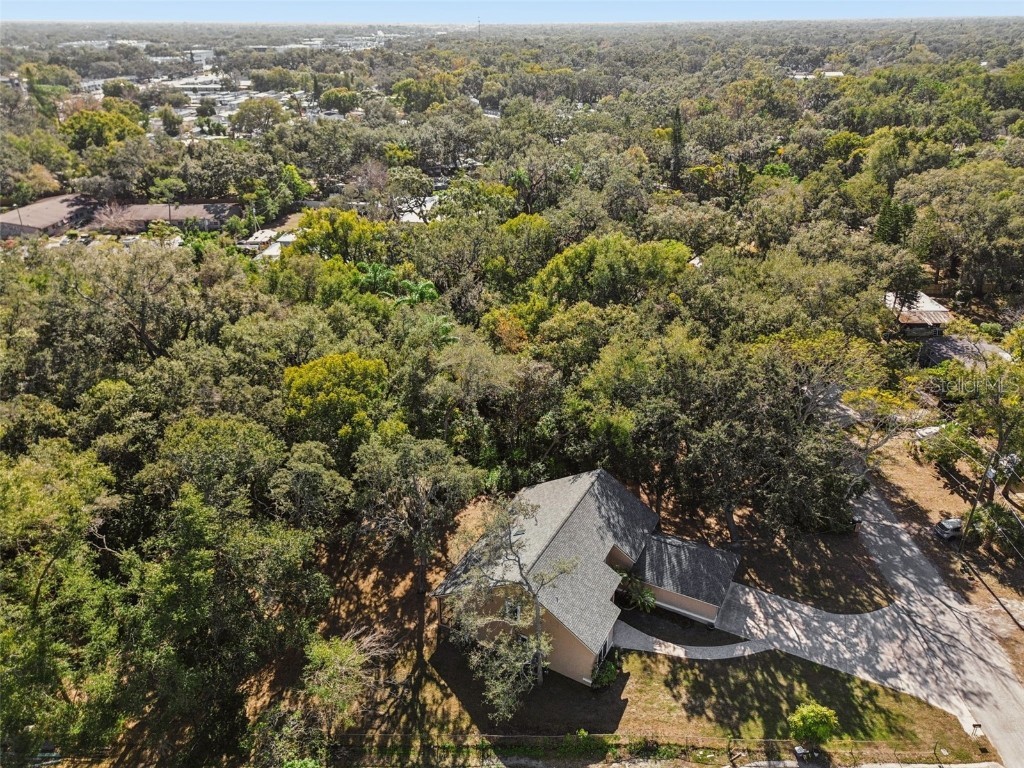 12715 Linda Drive Tampa FL 33612 - CURIOSITY CREEK TB8458966 image45