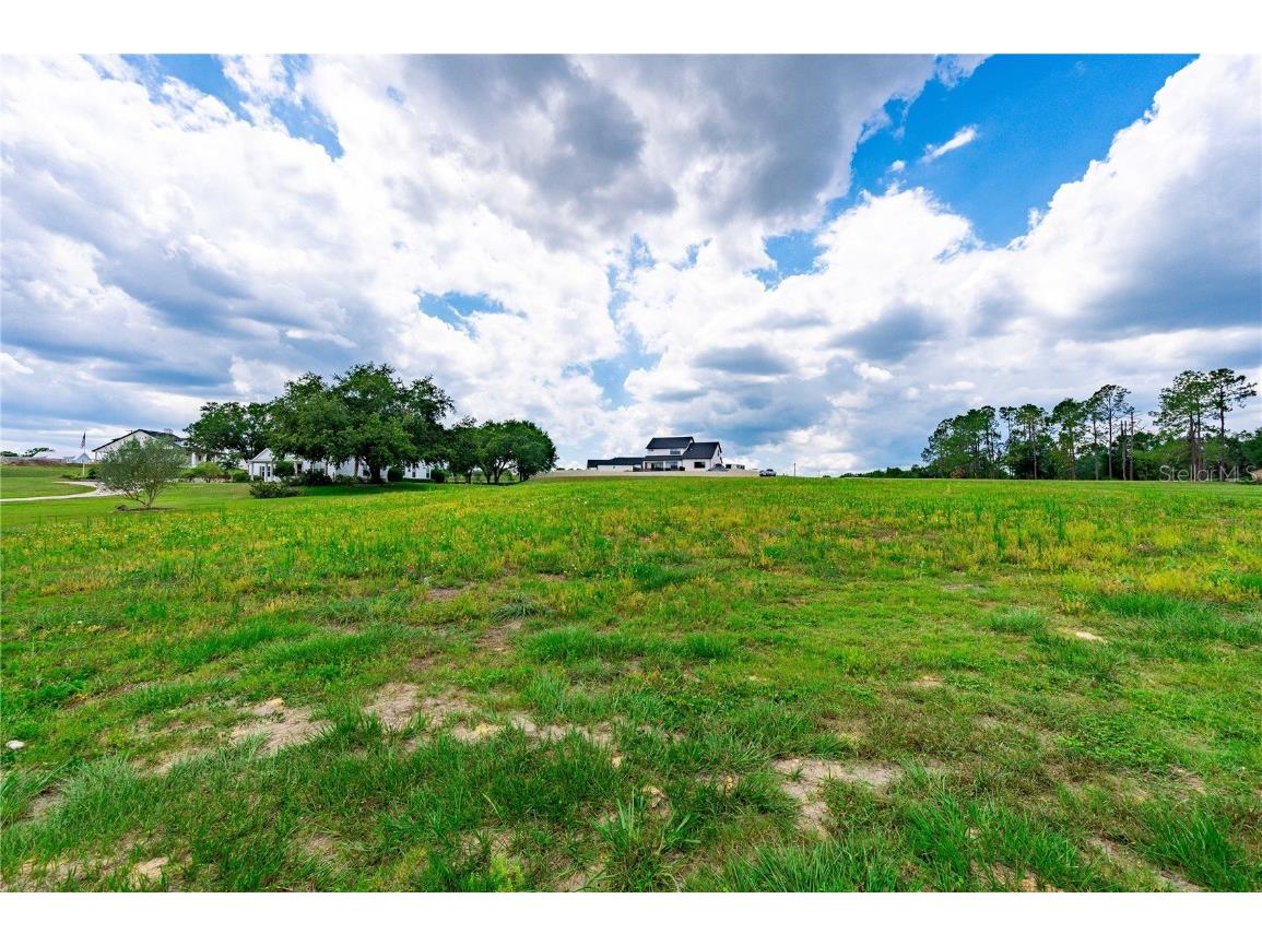 12715 Pompanic St San Antonio FL 33576 T3447791 image1