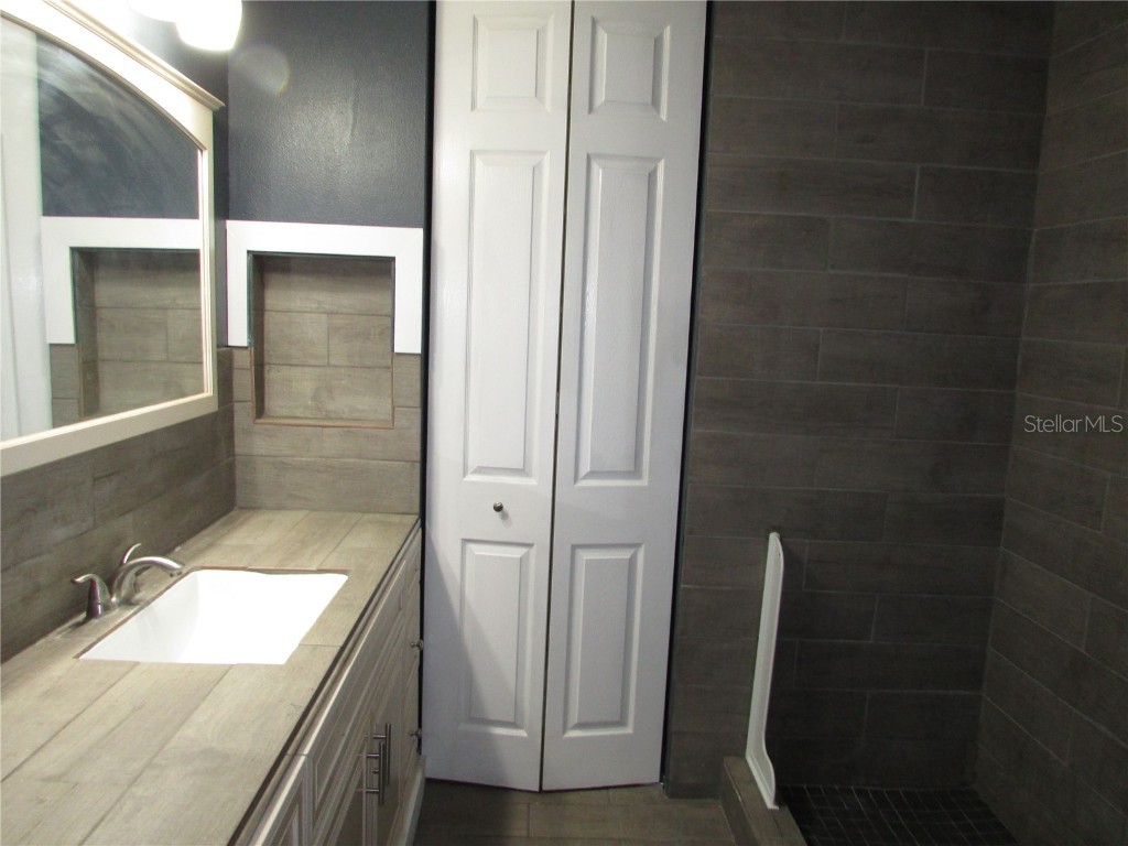 12715 Raeburn Way Tampa FL 33624 - BIG COMMUNITY POND TB8413764 image13