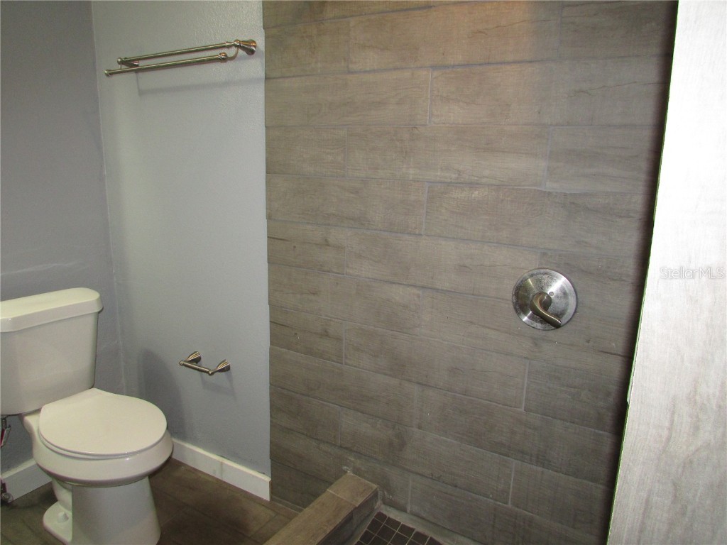 12715 Raeburn Way Tampa FL 33624 - BIG COMMUNITY POND TB8413764 image15