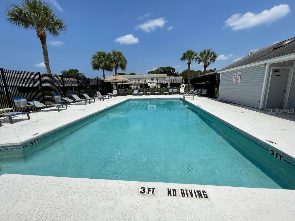 12715 Raeburn Way Tampa FL 33624 - BIG COMMUNITY POND TB8413764 image2