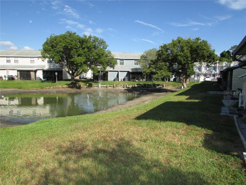 12715 Raeburn Way Tampa FL 33624 - BIG COMMUNITY POND TB8413764 image3