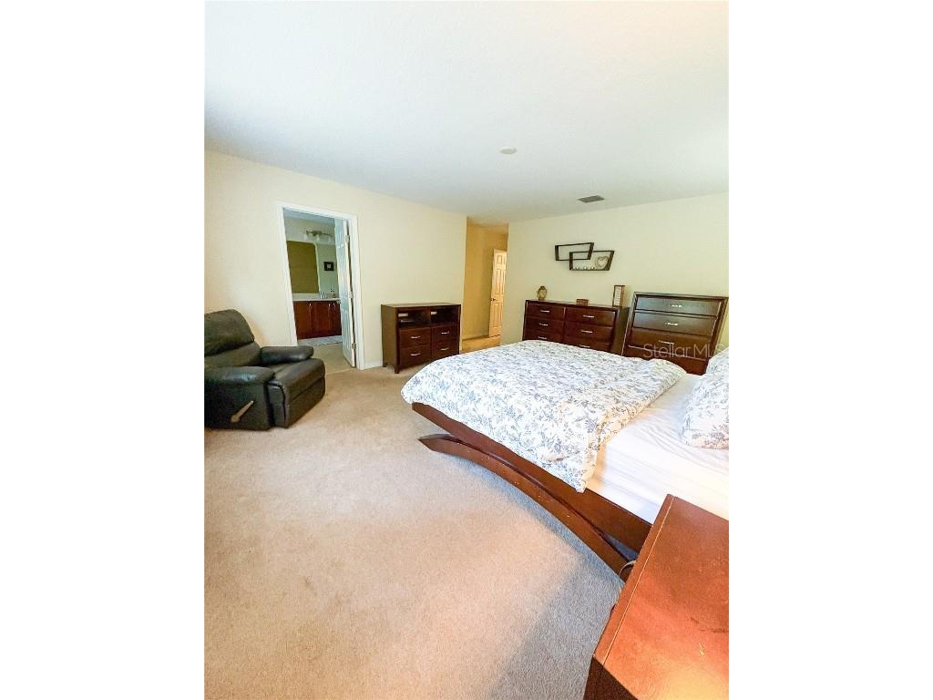 12715 Saulston Place Hudson FL 34669 W7880989 image33