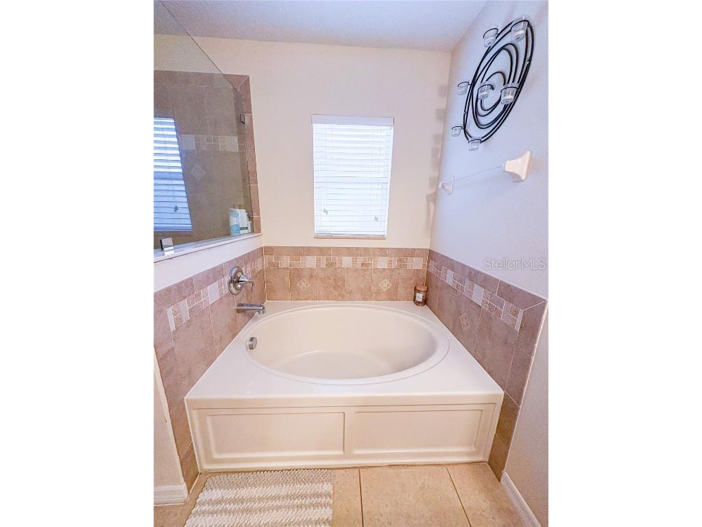 12715 Saulston Place Hudson FL 34669 W7880989 image39