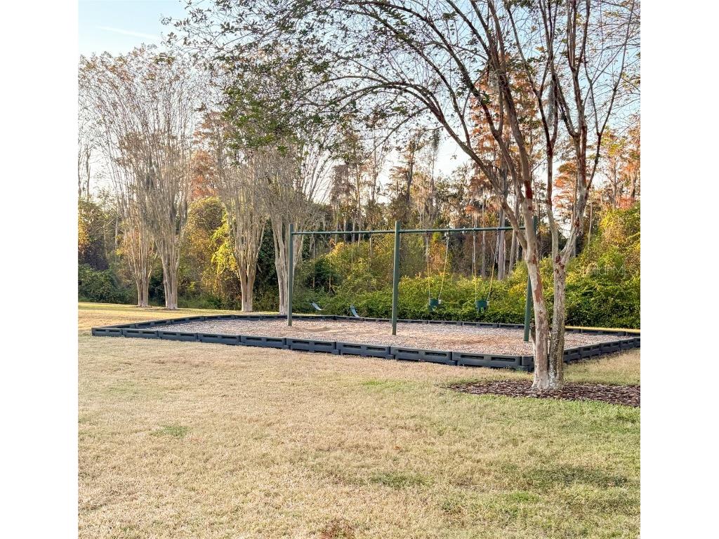 12715 Saulston Place Hudson FL 34669 W7880989 image42