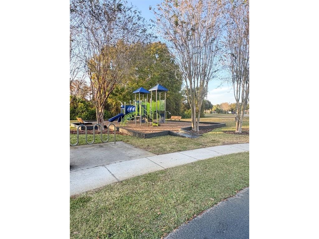 12715 Saulston Place Hudson FL 34669 W7880989 image43