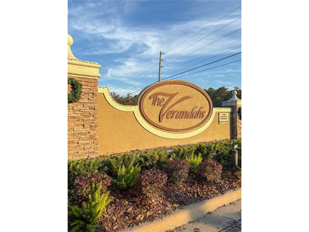 12715 Saulston Place Hudson FL 34669 W7880989 image44