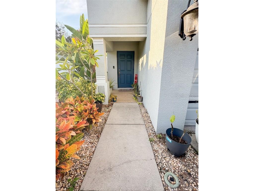 12715 Saulston Place Hudson FL 34669 W7880989 image5