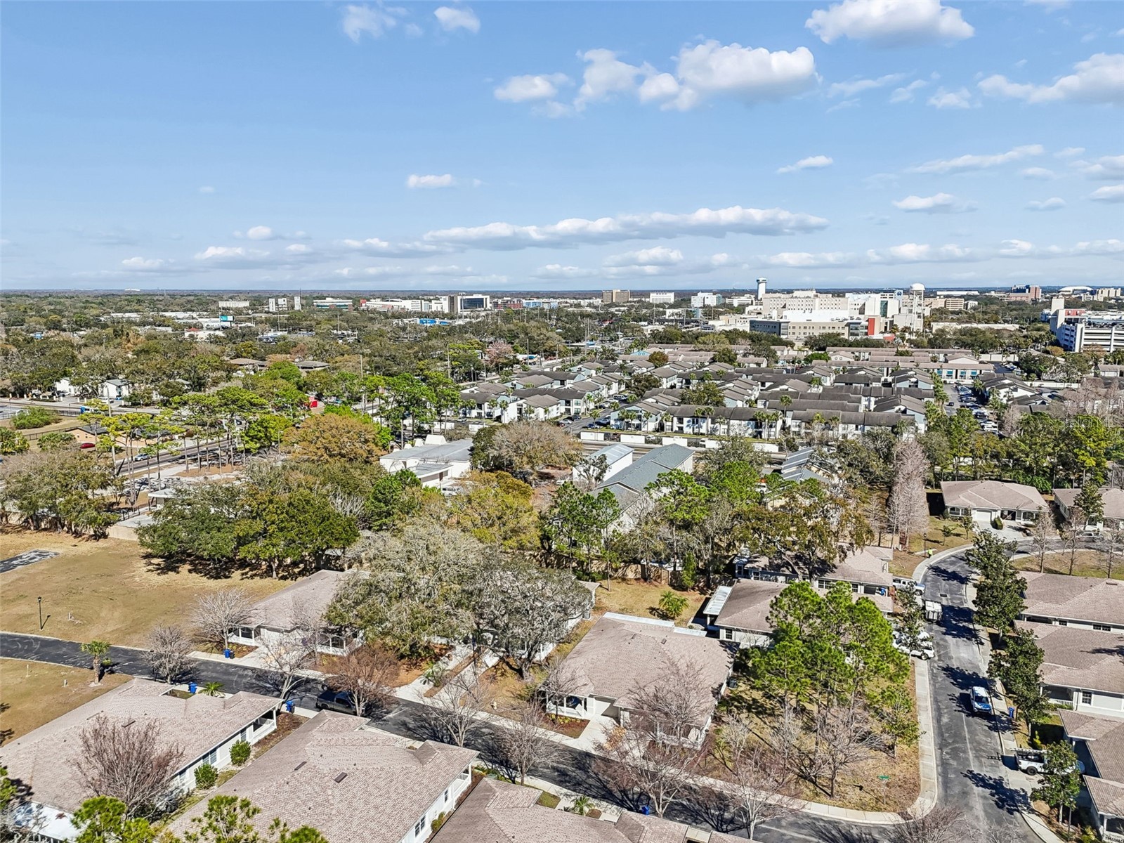 12715 Taylor Nicolas Drive Tampa FL 33612 O6407678 image65