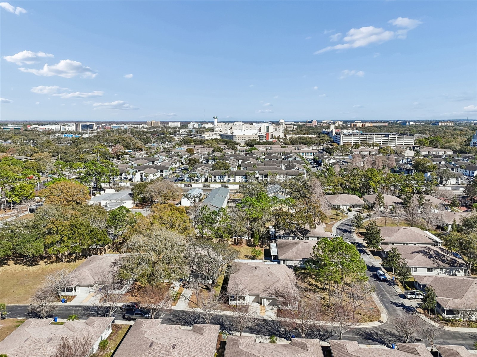 12715 Taylor Nicolas Drive Tampa FL 33612 O6407678 image66