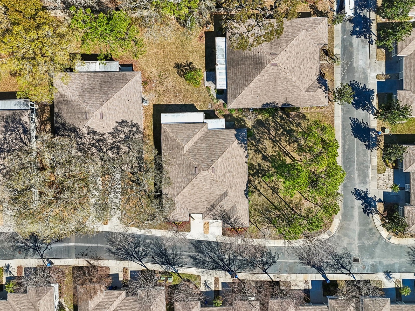 12715 Taylor Nicolas Drive Tampa FL 33612 O6407678 image68