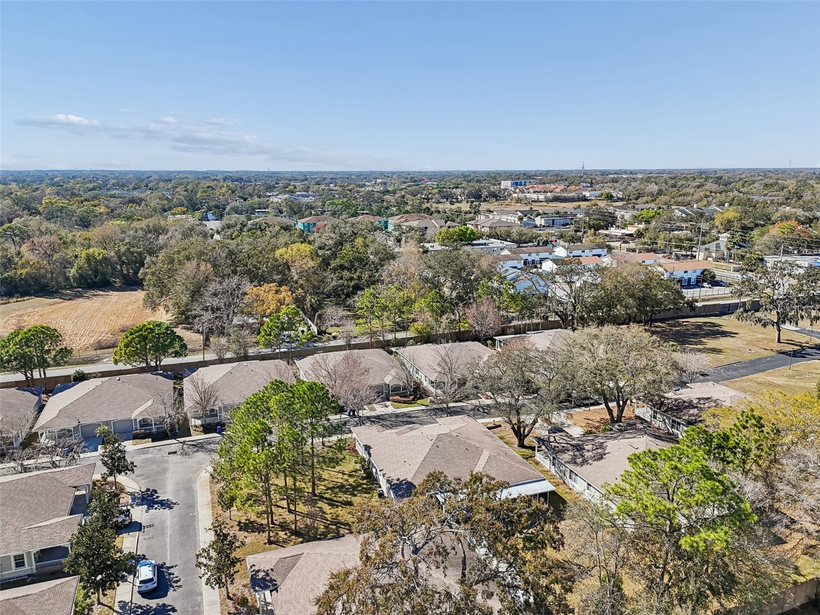 12715 Taylor Nicolas Drive Tampa FL 33612 O6407678 image73