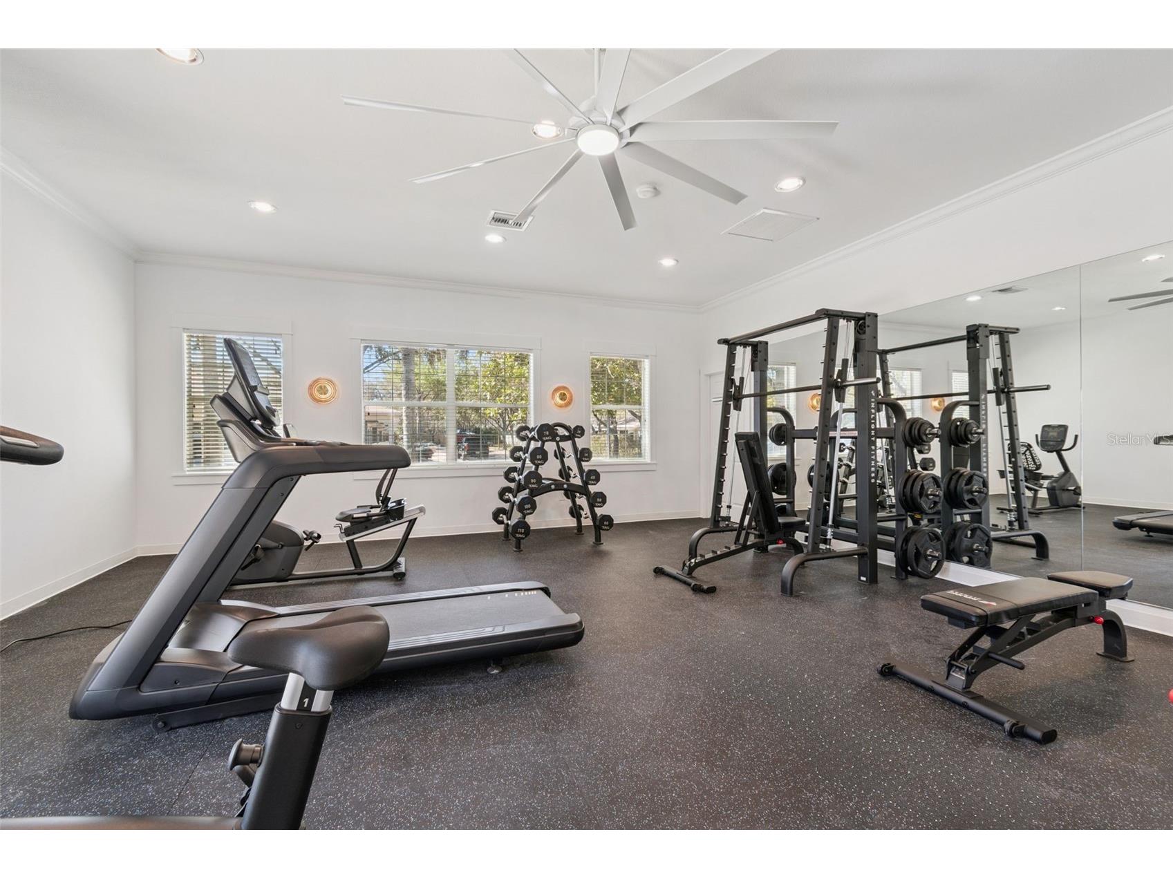 12715 Taylor Nicolas Drive Tampa FL 33612 O6407678 image87