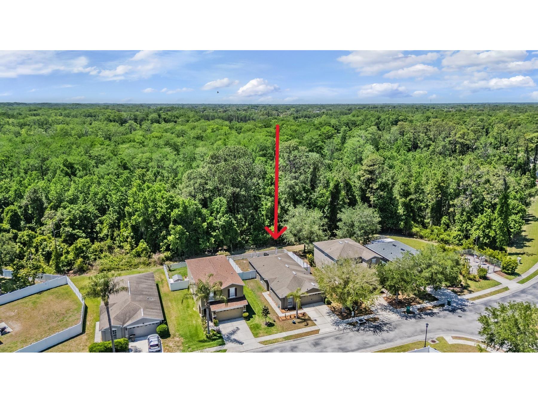 12715 White Bluff Road Hudson FL 34669 TB8496761 image7