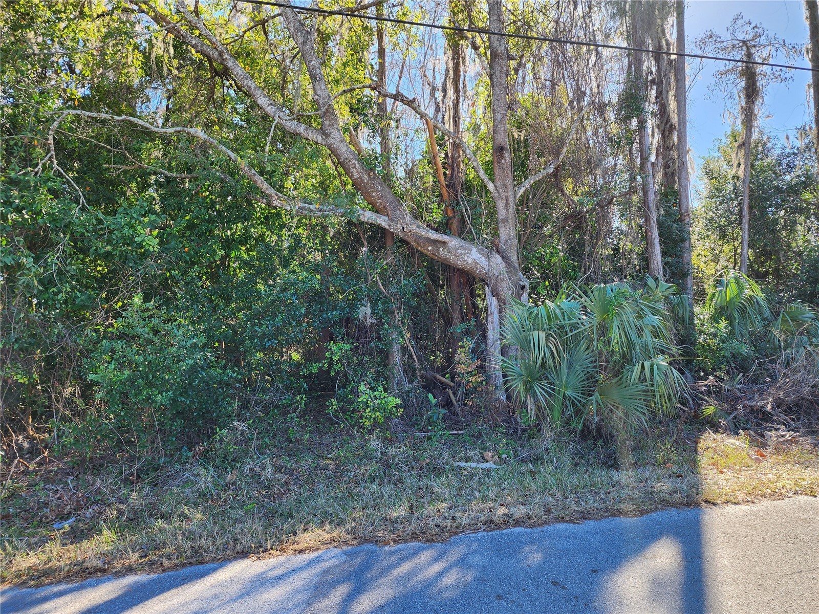 12716 Poppy Street New Port Richey FL 34654 TB8472686 image1