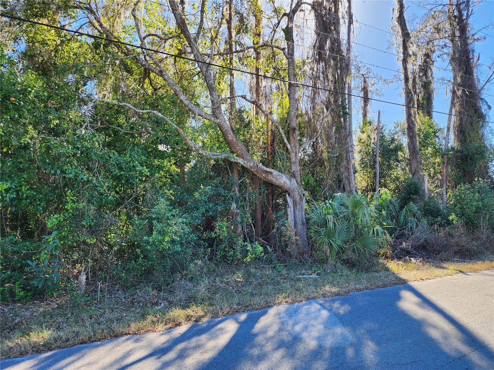 12716 Poppy Street New Port Richey FL 34654 TB8472686 image3