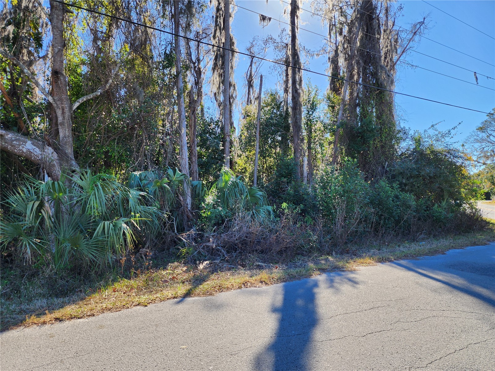12716 Poppy Street New Port Richey FL 34654 TB8472686 image4