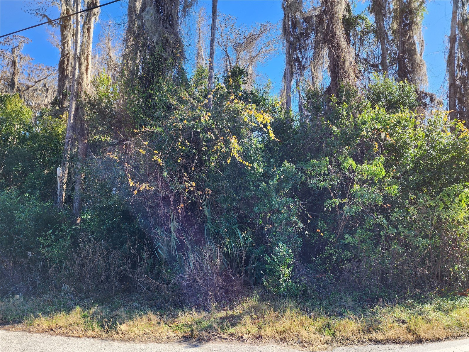 12716 Poppy Street New Port Richey FL 34654 TB8472686 image5