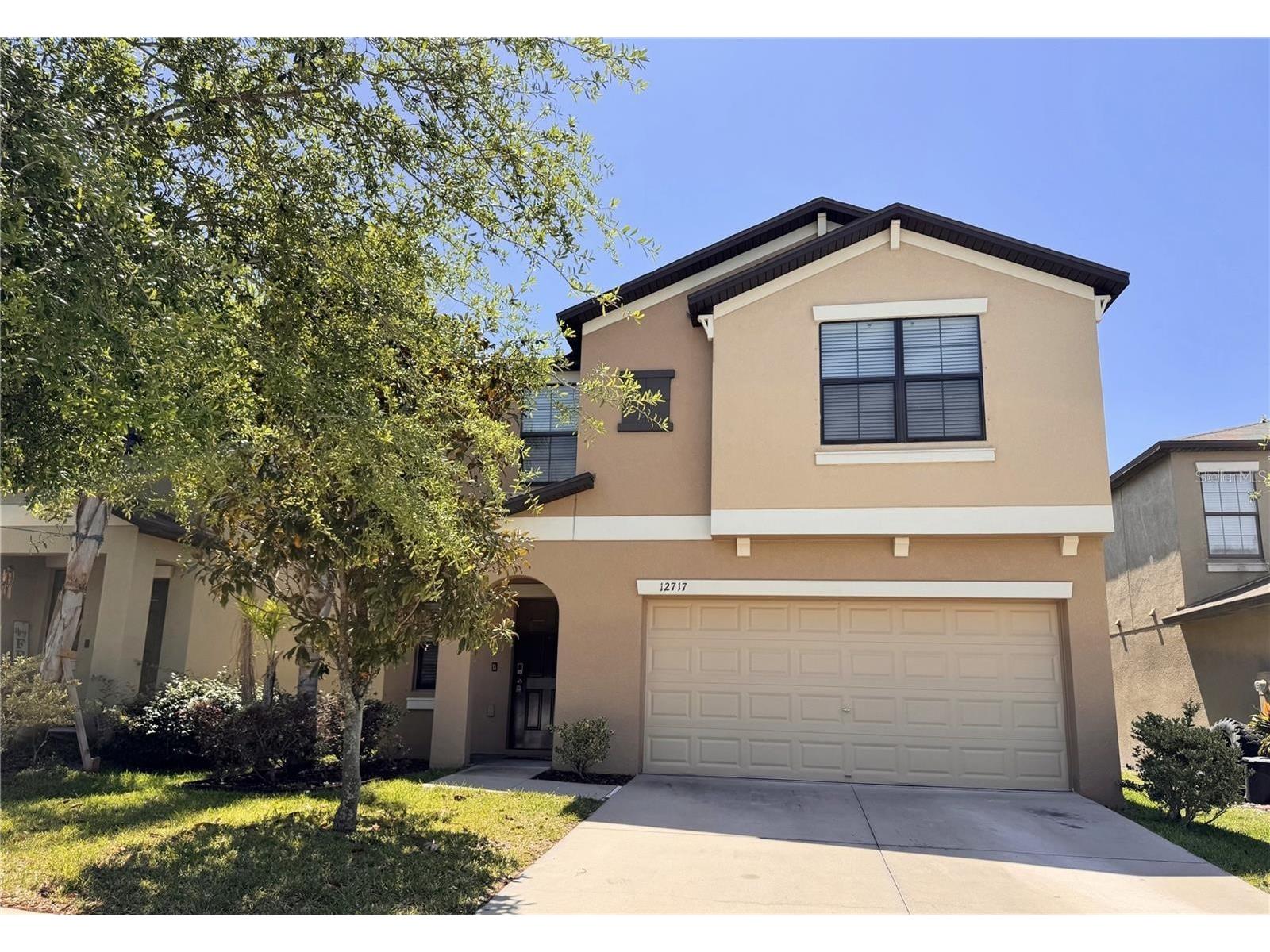 12717 Lemon Pepper Drive Riverview FL 33578 TB8464458 image1