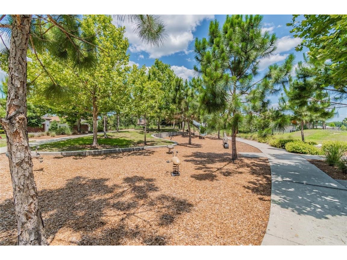 12718 Burns Drive Odessa FL 33556 W7881355 image50