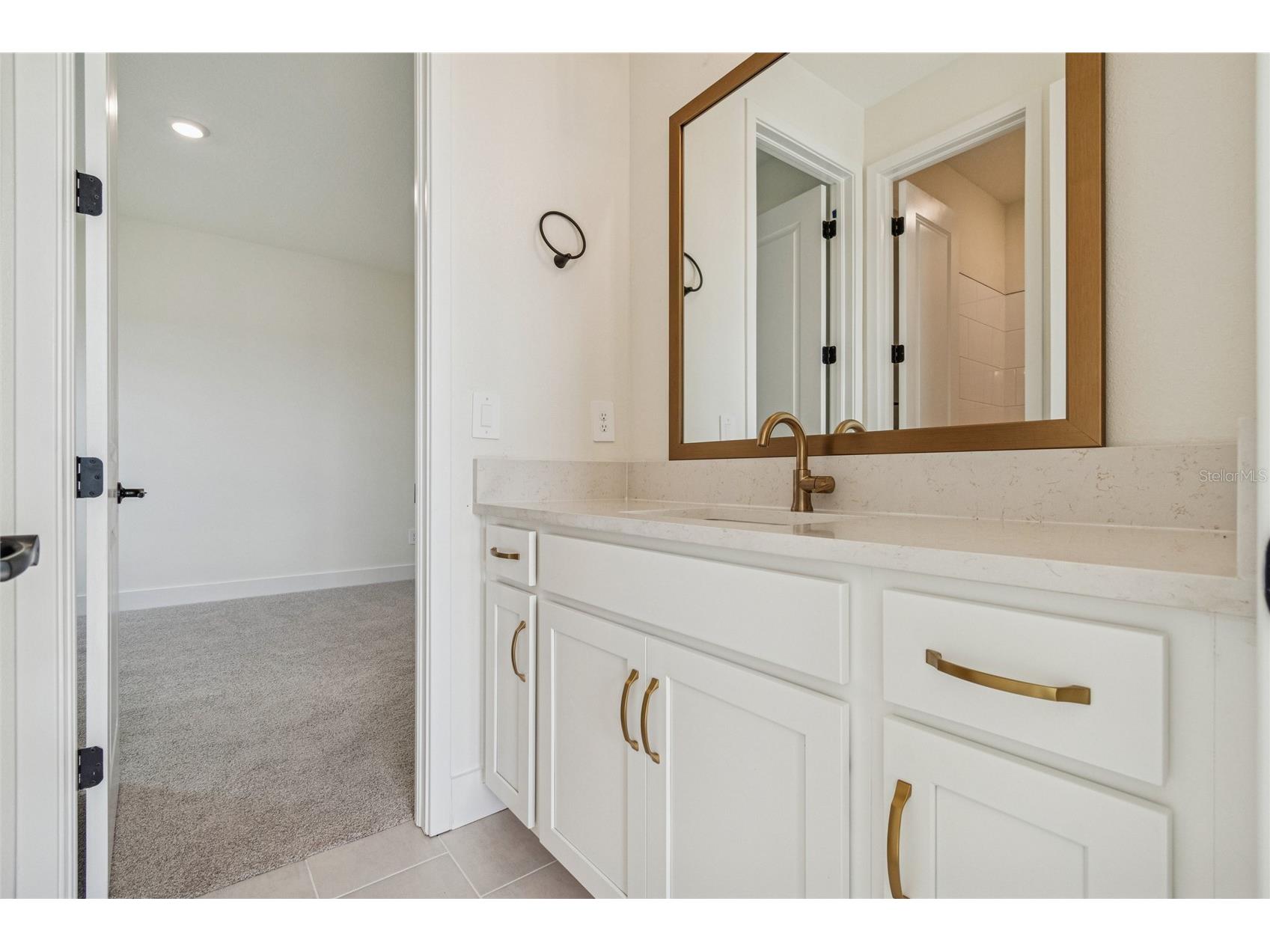 12718 Driftwood Tide Drive Palmetto FL 34221 TB8457498 image35