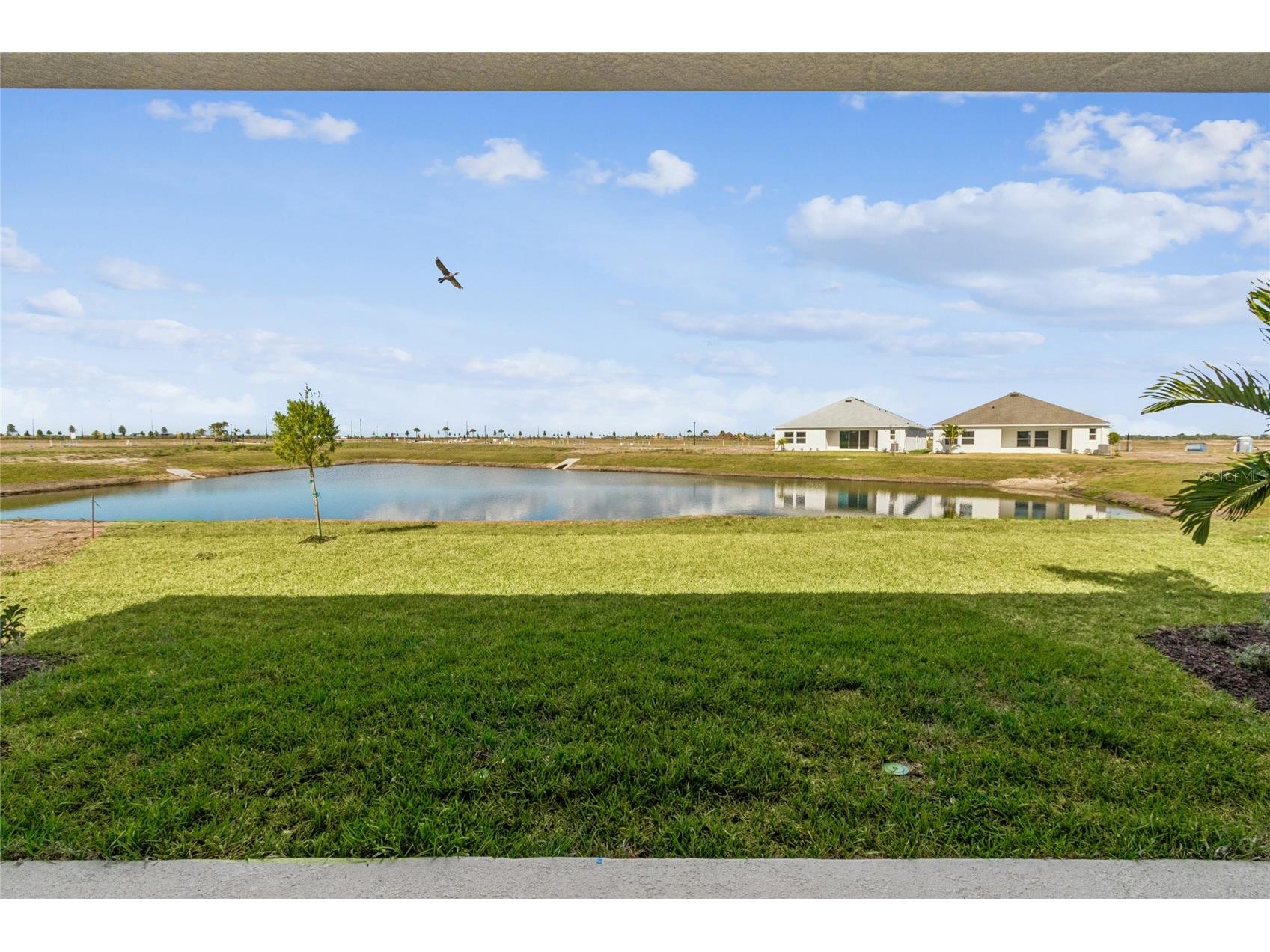 12718 Driftwood Tide Drive Palmetto FL 34221 TB8457498 image42