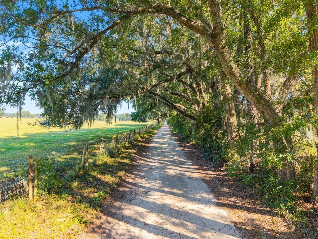 12719 NW 88th Place Alachua FL 32615 GC534885 image38