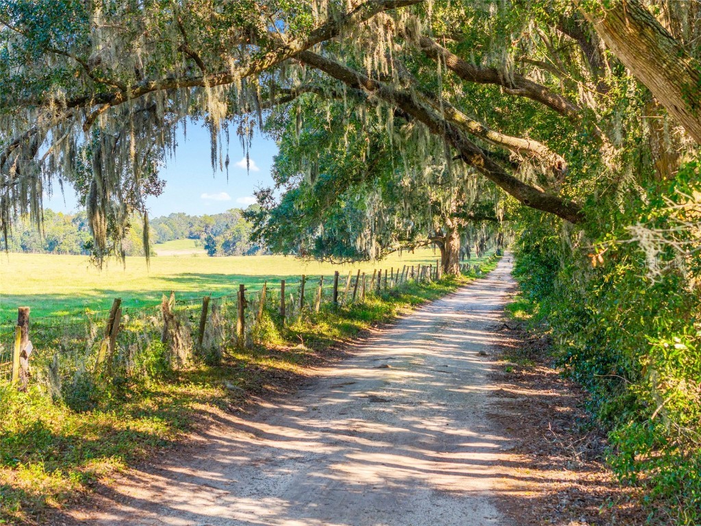 12719 NW 88th Place Alachua FL 32615 GC534885 image39