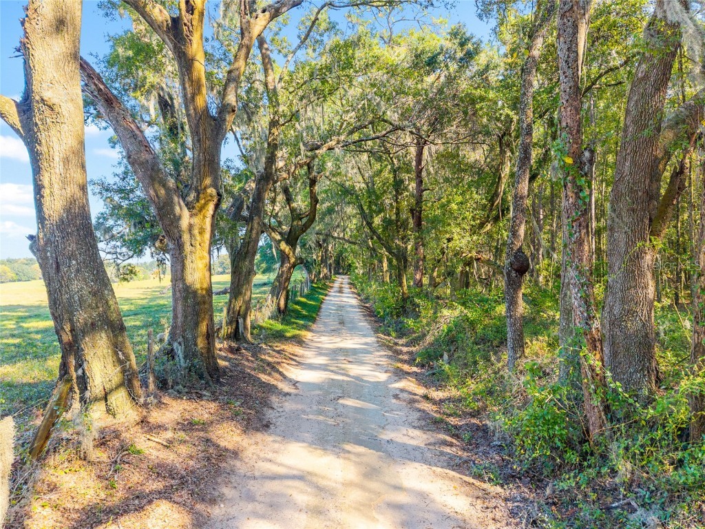 12719 NW 88th Place Alachua FL 32615 GC534885 image41
