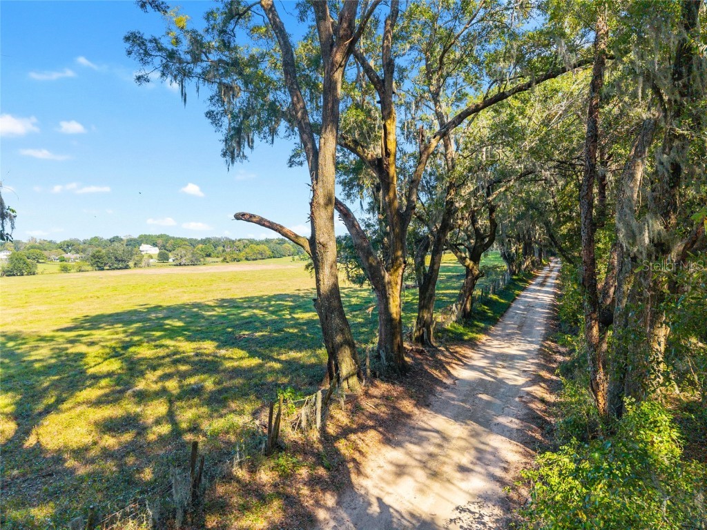 12719 NW 88th Place Alachua FL 32615 GC534885 image42
