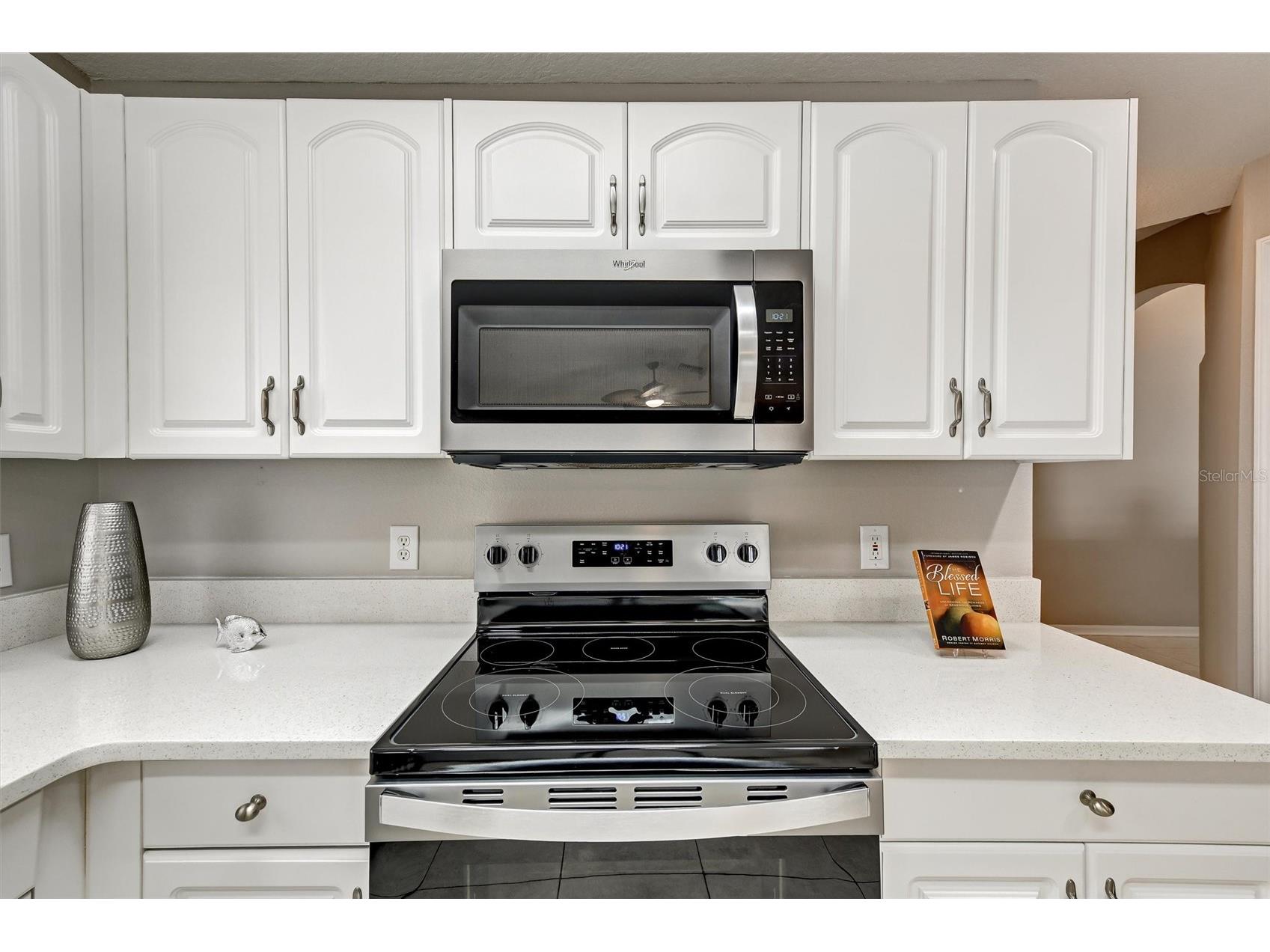 1272 Jasmine Lake Drive Tarpon Springs FL 34689 W7884287 image13