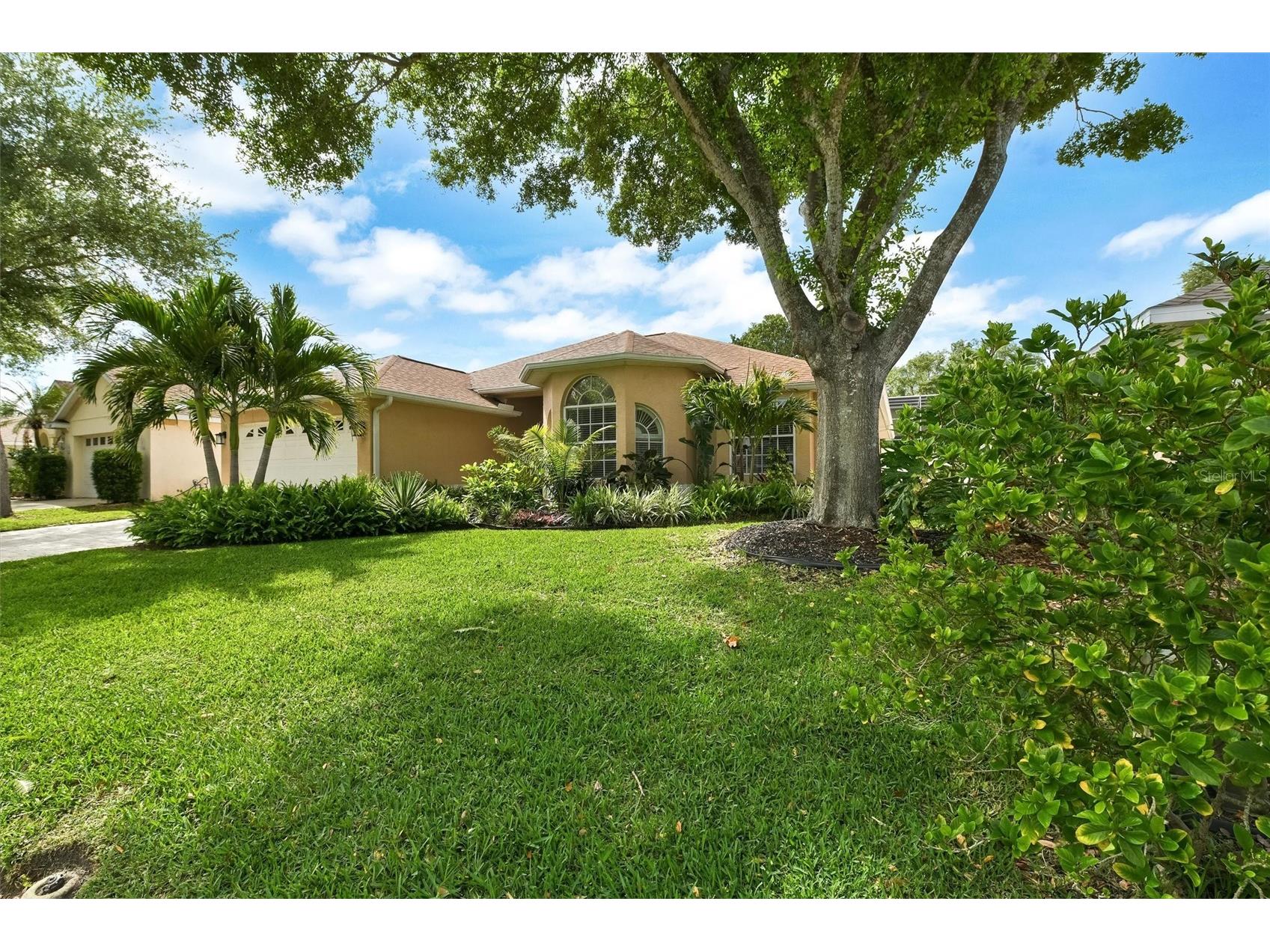 1272 Jasmine Lake Drive Tarpon Springs FL 34689 W7884287 image2