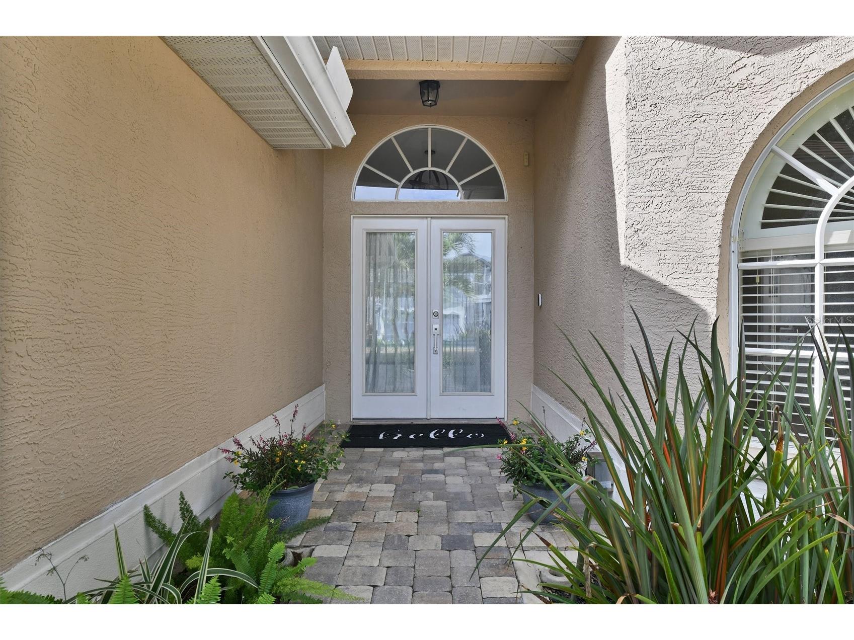 1272 Jasmine Lake Drive Tarpon Springs FL 34689 W7884287 image3
