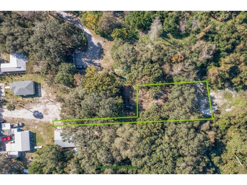 1272 Old Jacksonville Road Palatka FL 32177 O6073644 image6