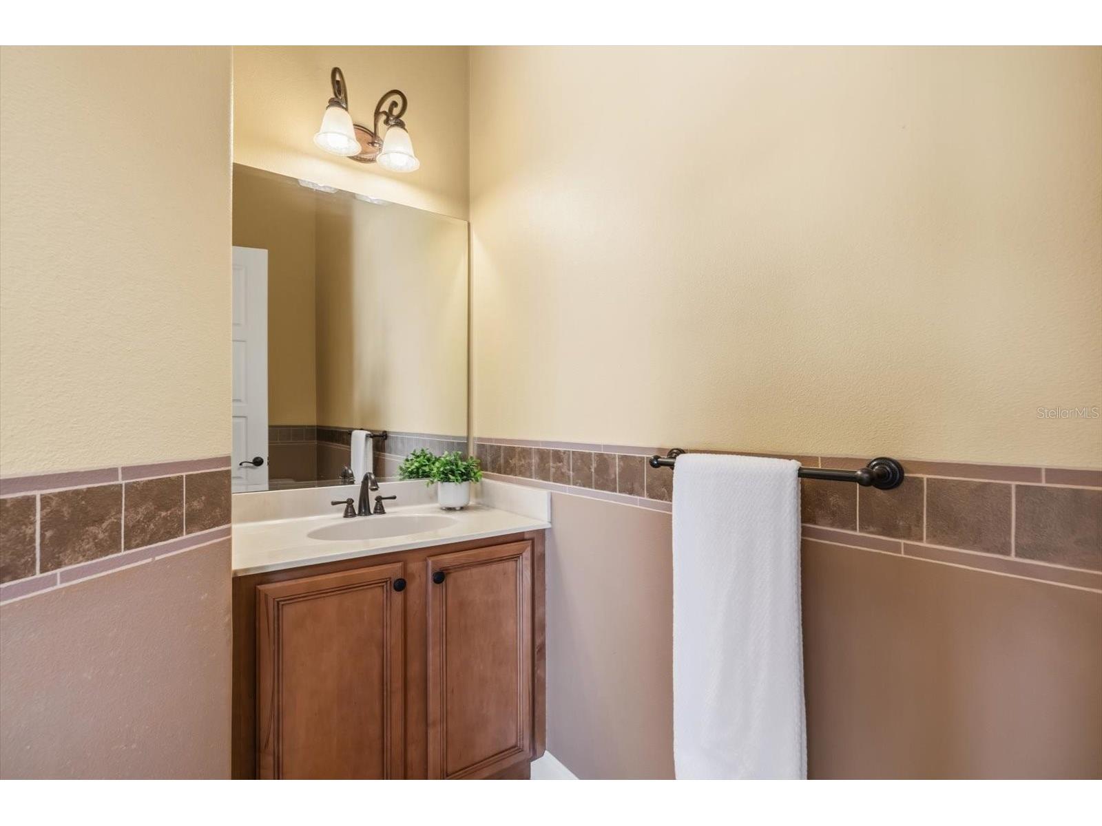 12720 Jacob Grace Court Windermere FL 34786 TB8476930 image37