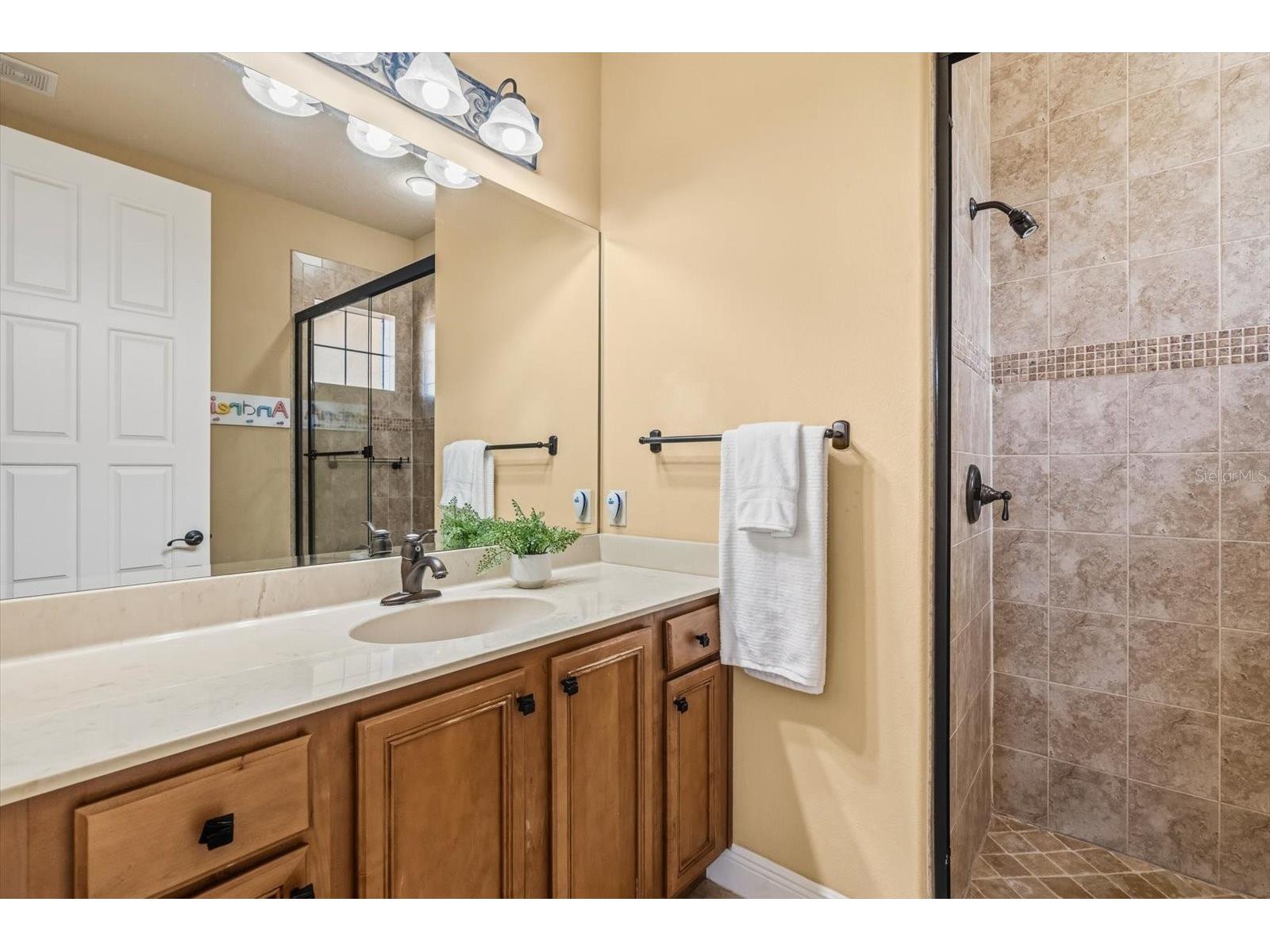 12720 Jacob Grace Court Windermere FL 34786 TB8476930 image48