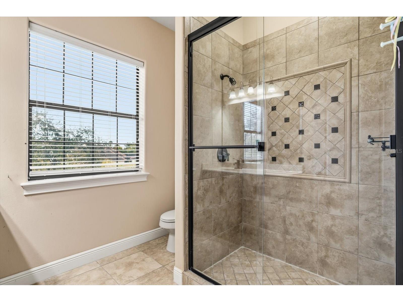 12720 Jacob Grace Court Windermere FL 34786 TB8476930 image53