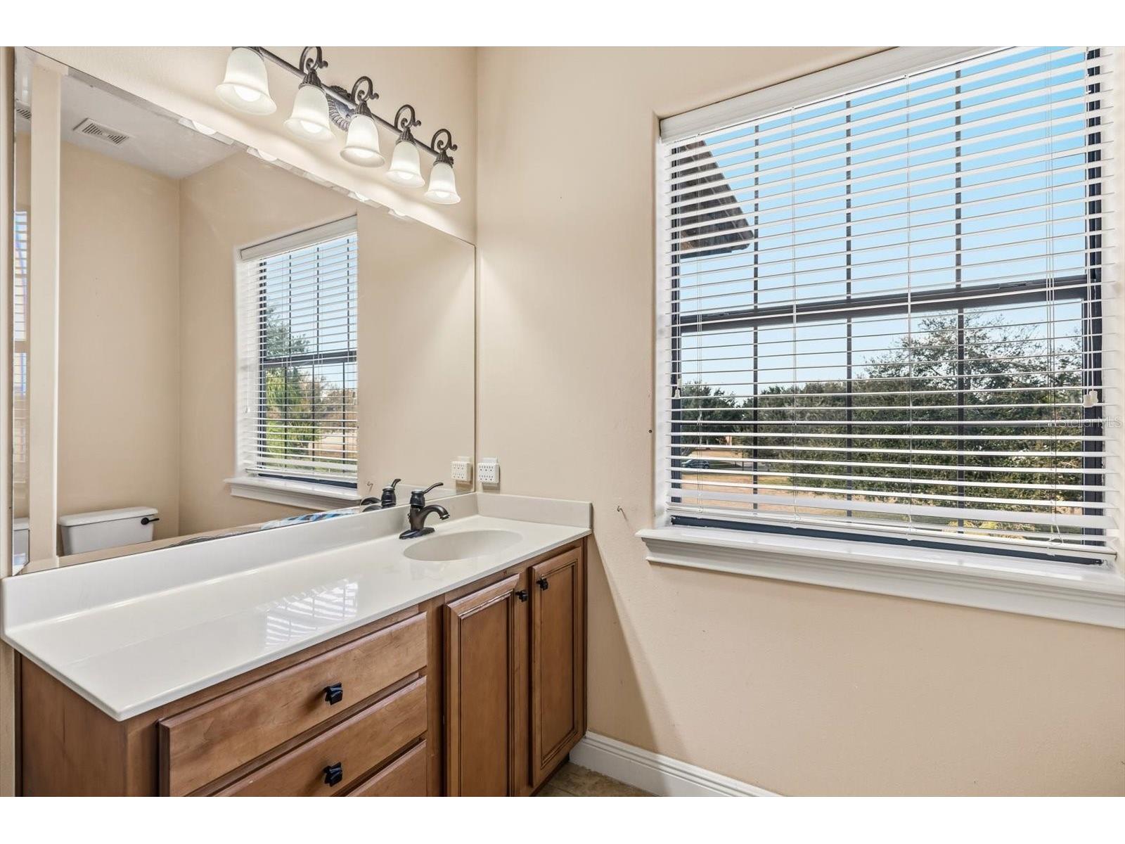 12720 Jacob Grace Court Windermere FL 34786 TB8476930 image54