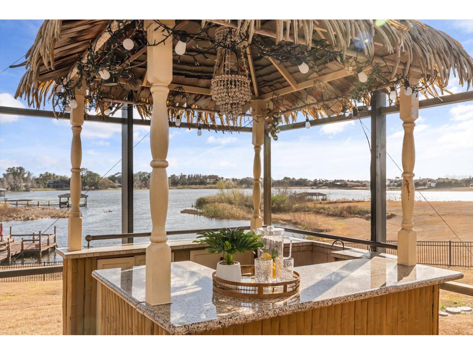 12720 Jacob Grace Court Windermere FL 34786 TB8476930 image68