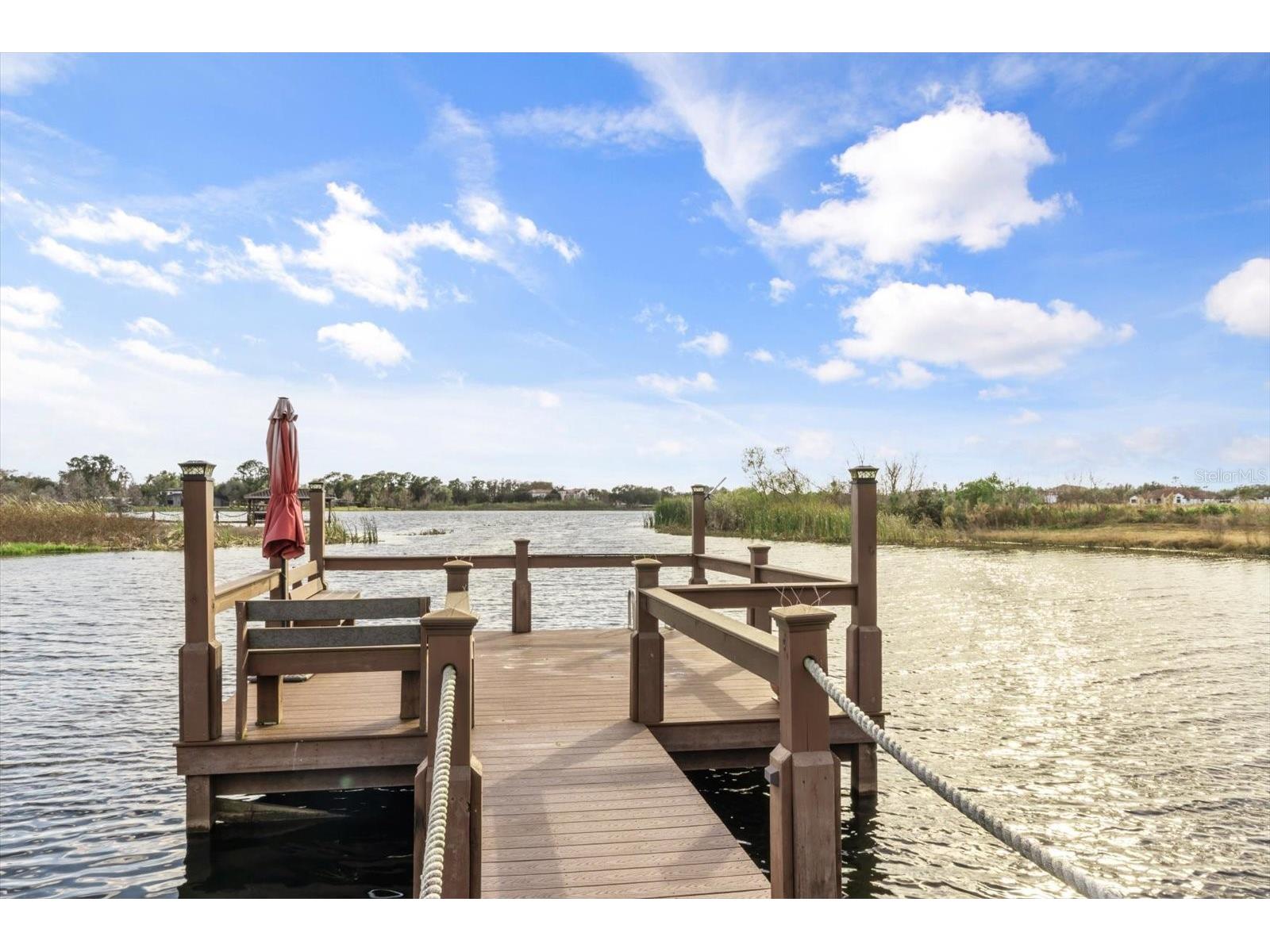 12720 Jacob Grace Court Windermere FL 34786 TB8476930 image75