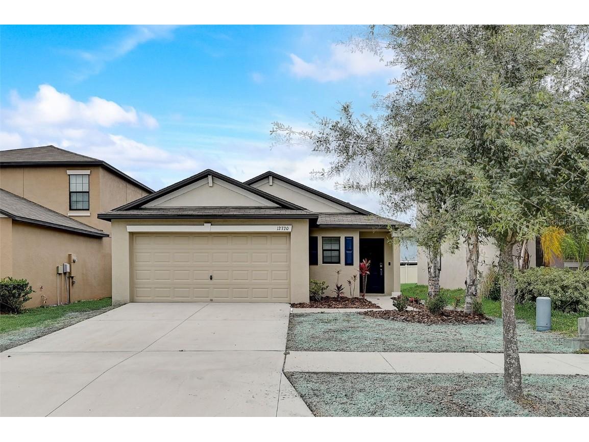 12720 Lemon Pepper Drive Riverview FL 33578 T3451295 image1
