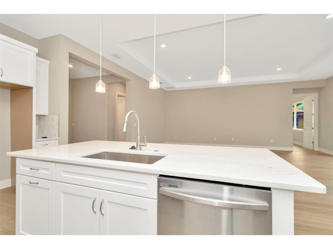 12721 Seronera Valley Court Spring Hill FL 34610 T3511755 image21
